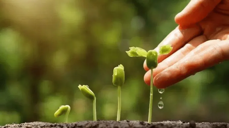 Certificate III in Conservation and Ecosystem Management (2) Certificate III in Conservation and Ecosystem Management (2)
